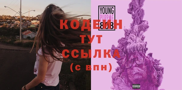 mix Гусь-Хрустальный