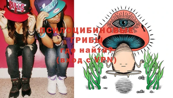 дживик Гусиноозёрск