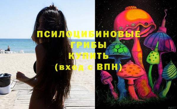 дживик Гусиноозёрск