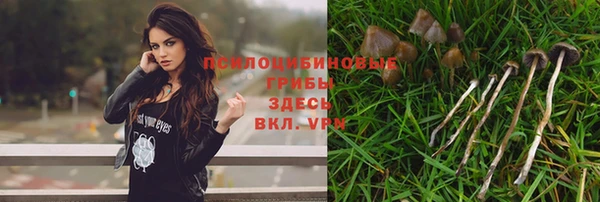 дживик Гусиноозёрск