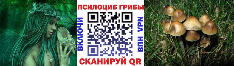 Псилоцибиновые грибы Magic Shrooms  Янаул 