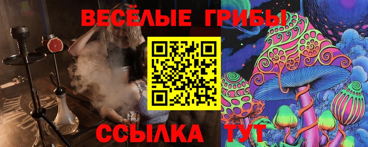 Янаул  Псилоцибиновые грибы мухоморы  Вход с VPN 